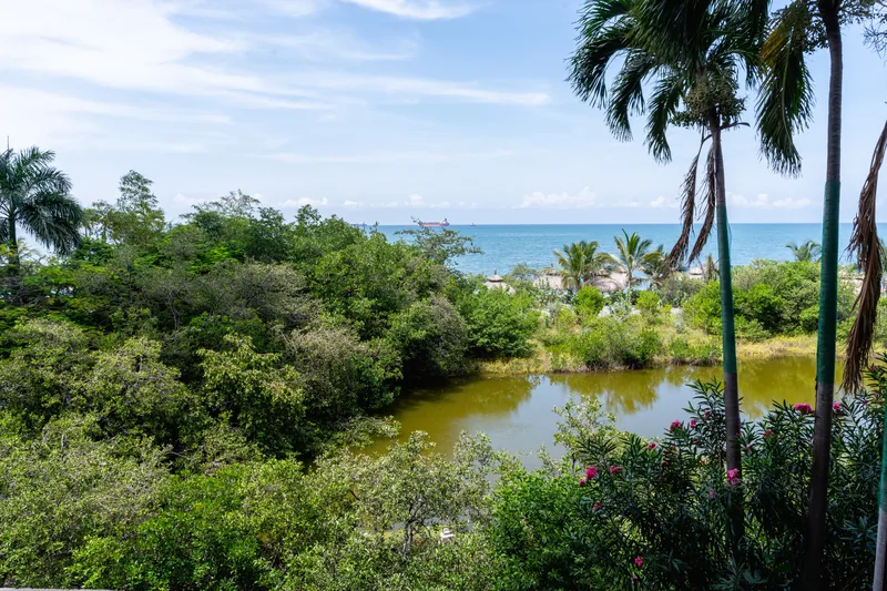 Vista al mar entre la vegetación tropical.